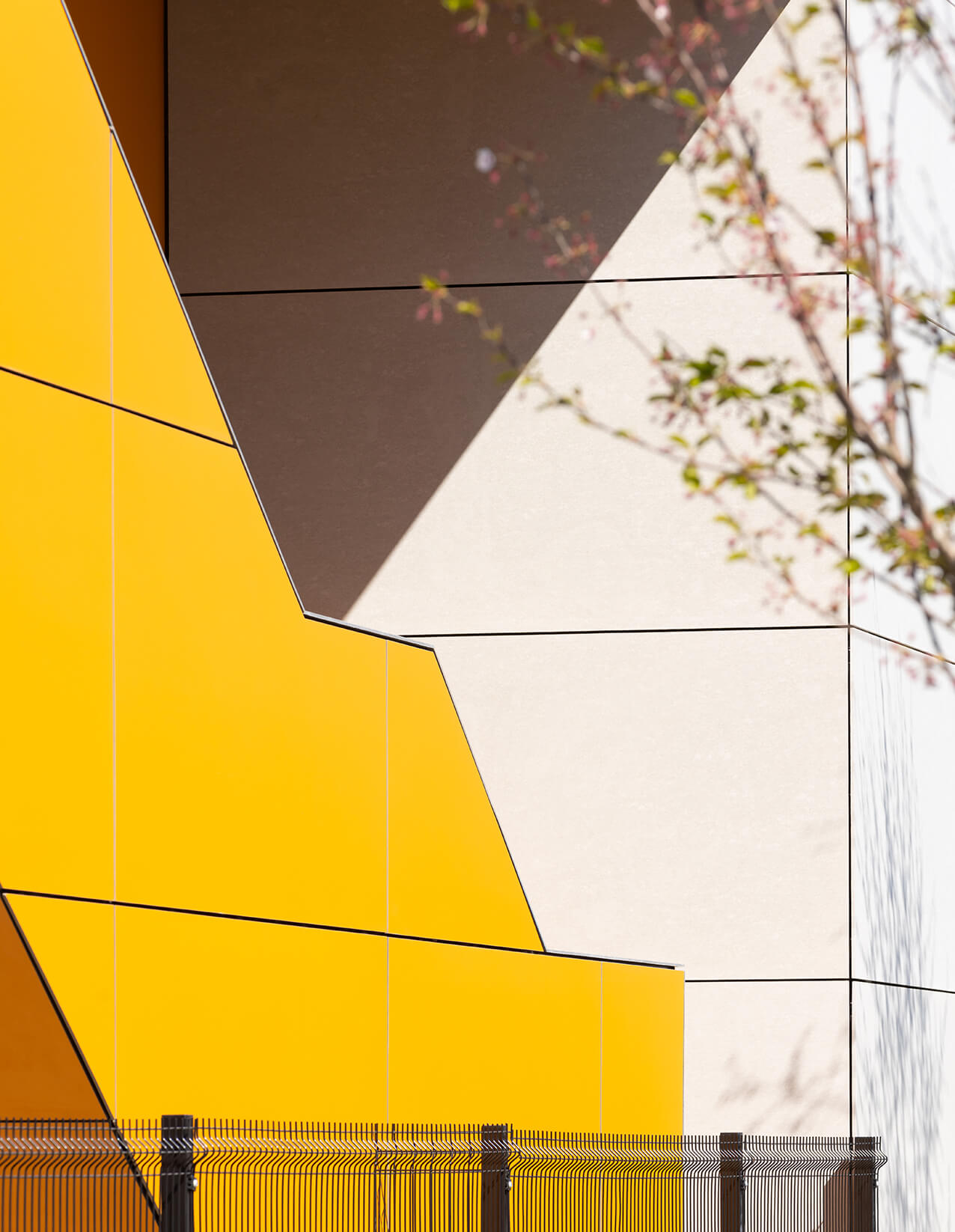 Richmond RTS Sports Hall Development
